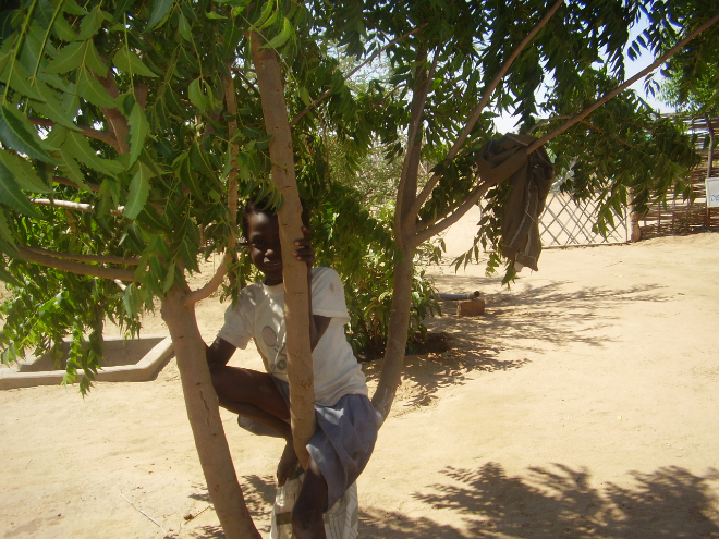 Child on tree
